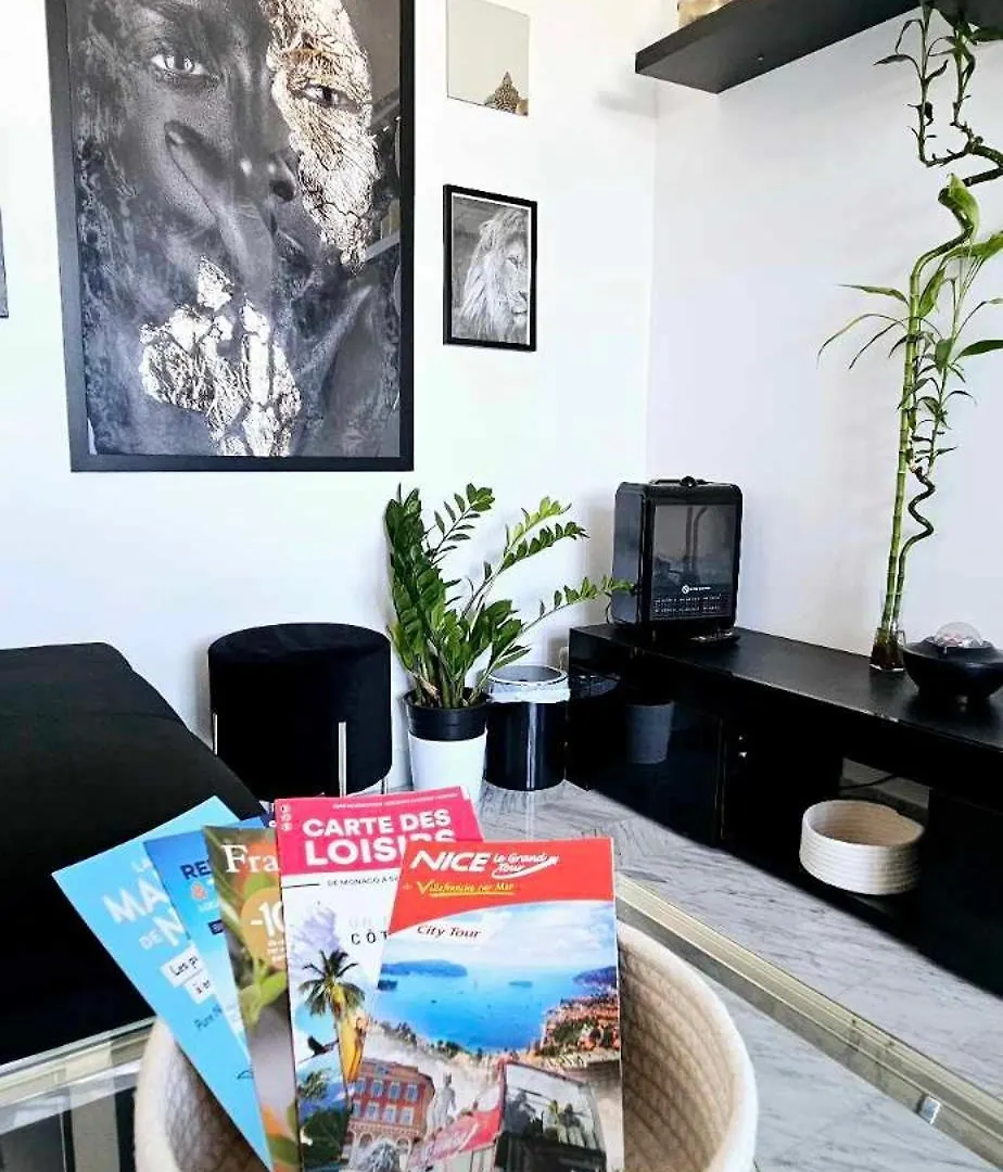 Top Floor With Sea View, Clim And Veranda Nice Apartment
